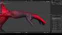 forearm_thumb.jpg