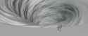 chasm1001-1120_thumb.jpg