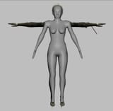 Thread 1009306 OP Image