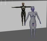 WIP6