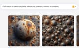 chrome_gCJ33lH8ru