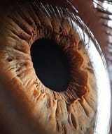 42ef7e3cee92a89aba9a5a74b5b8e14e