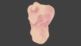 raw vertex paint