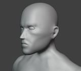 HeadRetopo