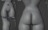pelvis topology
