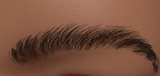 Improved eyebrows swoop