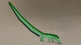 EquineEel