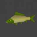 CarpSwim_thumb.jpg