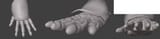 fingerplates