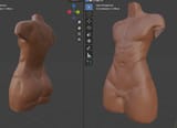 torso