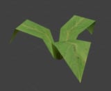 weed