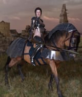 knight_ygEv12bFB_1