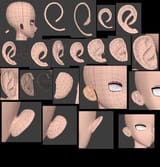 ear