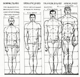 various-standards-proportion
