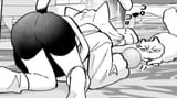 Catbutt