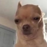 1751053195273