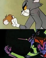 tom and jerry EVA