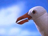1703227553466640