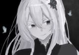 echidna4