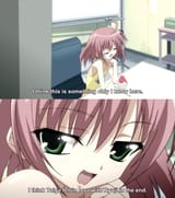 Toradora theory