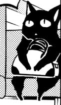look at this cat