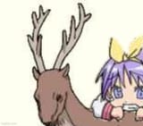 OH DEER