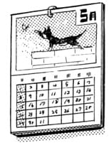 cat calendar
