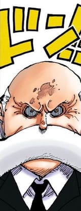 elder pig