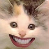 1748955236748162
