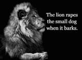 lion