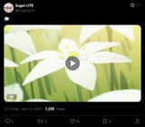 Screenshot 2025-06-12 at 12-18-45 (2) Sugoi LITE on X 💭 https __t.co_9SQFvoGLgv _ X