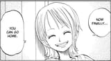 nami tells you to go home