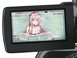 camcorder fish