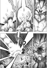 Multiverse goku-bejita2