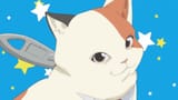 smug kot