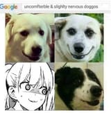 nervous yoshis