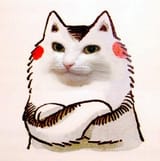 argument_cat