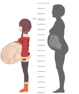 pregumin