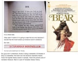 real literature
