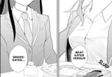 Heroine vs Villainess