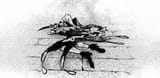 dead_clussy