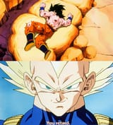 1691895994496