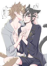 __lelouch_vi_britannia_and_kururugi_suzaku_code_geass_drawn_by_una_1979kinky__817713096f1d60aa7024f660e76dcaaa