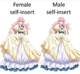 selfinsert