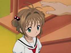 1716267902316 sakurapat_thumb.jpg