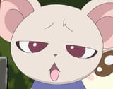 stupid rat face