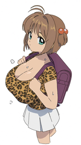 690623108