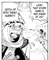 One Piece Soijak