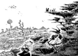 ch 35