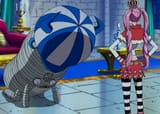 Zoro kneel